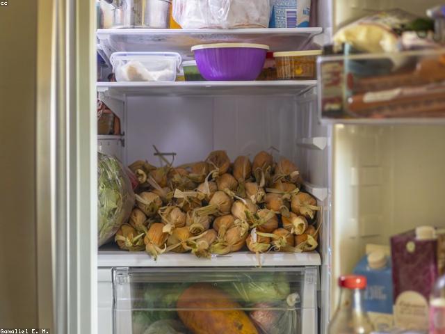 Cook With What’s in the Fridge